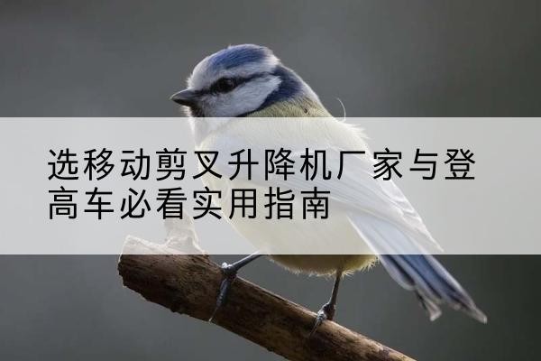 麒麟电动升降机厂家-选移动剪叉升降机厂家与登高车必看实用指南