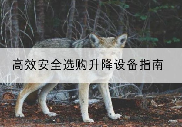 麒麟升降货梯厂家推荐-*安全选购升降设备指南
