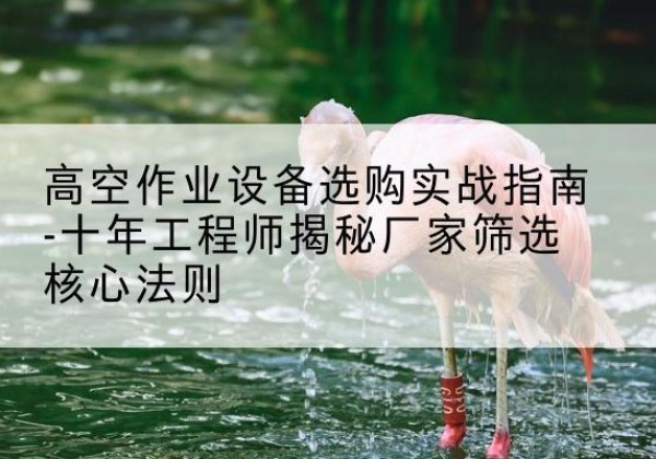 麒麟剪叉式升降机厂家-高空作业设备选购实战指南-十年工程师揭秘厂家筛选核心法则